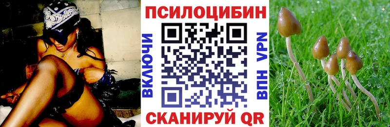 сколько стоит  Тарко-Сале  МЕГА онион  Псилоцибиновые грибы ЛСД 