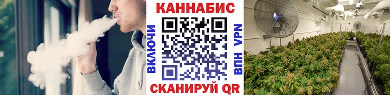 Каннабис планчик  Тарко-Сале 